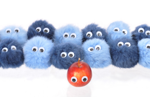 The Trust Equation: How to Make Your Agency the Obvious Choice in a Sea of Competitors