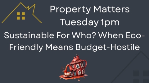 Sustainable for Who? When Eco-Friendly Means Budget-Hostile