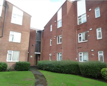 0 bedroom apartment	 for rent